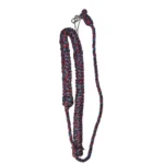 Lanyard